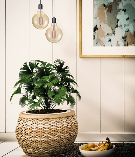 LED E27 Filament Globe, LF023825655-1