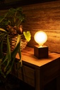 LED E27 Filament Globe, LF023825800 – Foto 3