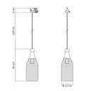 Track suspension lamp with Magnum bottle shade – photo 19