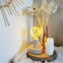 Milleluci Golden LED Globe Light Bulb G95 2W 40Lm E27 2000K – photo 4