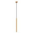 Pendant lamp ARCHE 1 gold