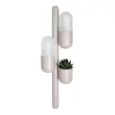 Cactus wall lamp
