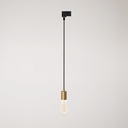 Pendant lamp for tracks with satin metal finish – Without bulb, Brushed bronze, Powergear