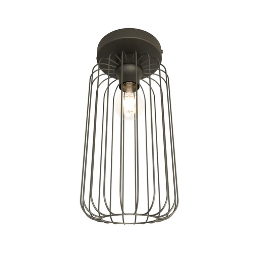 [1367/1] Barn 1 Bl. Ceiling Lamp